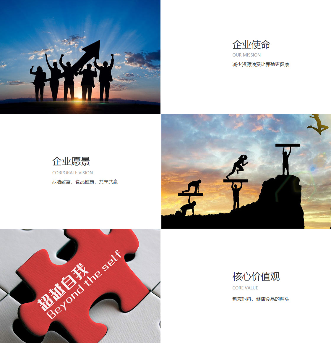 彩票33安卓官方手机版(图1)
